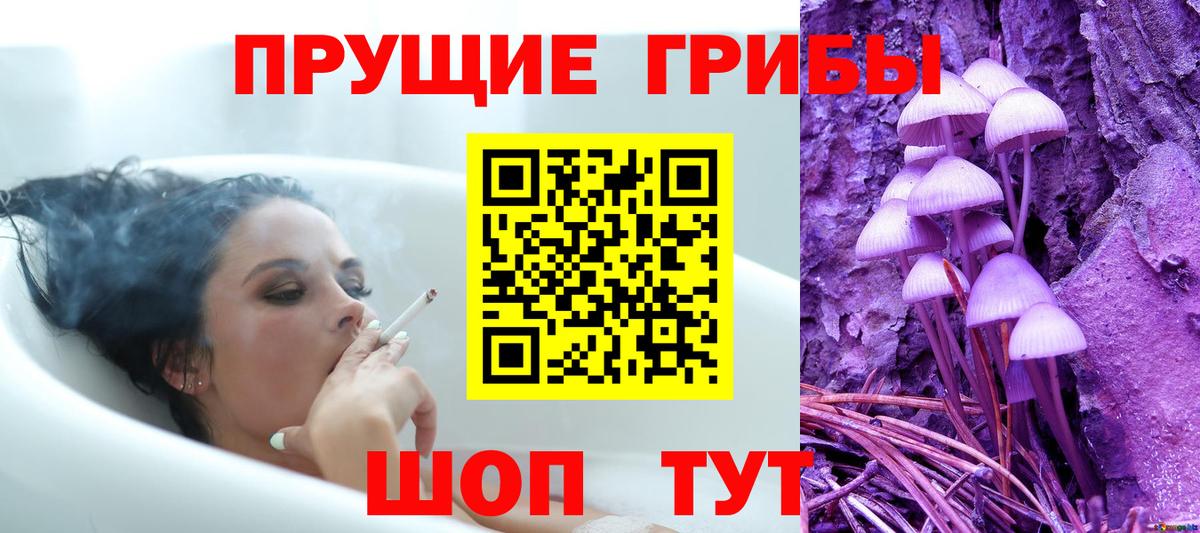 A PVP Чита