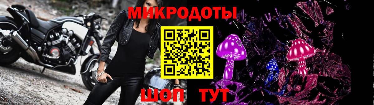 Псилоцибиновые грибы GOLDEN TEACHER Чита