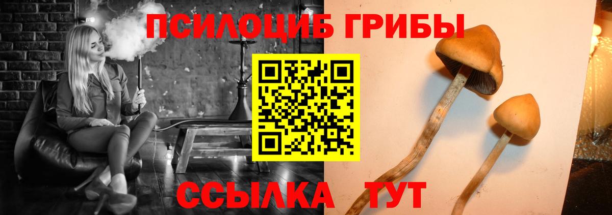 где купить   Псилоцибиновые грибы Magic Shrooms  Вход с VPN  Псилоцибиновые грибы Psilocybe  Чита 